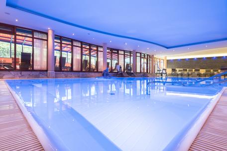 Pool im VITUS SPA 