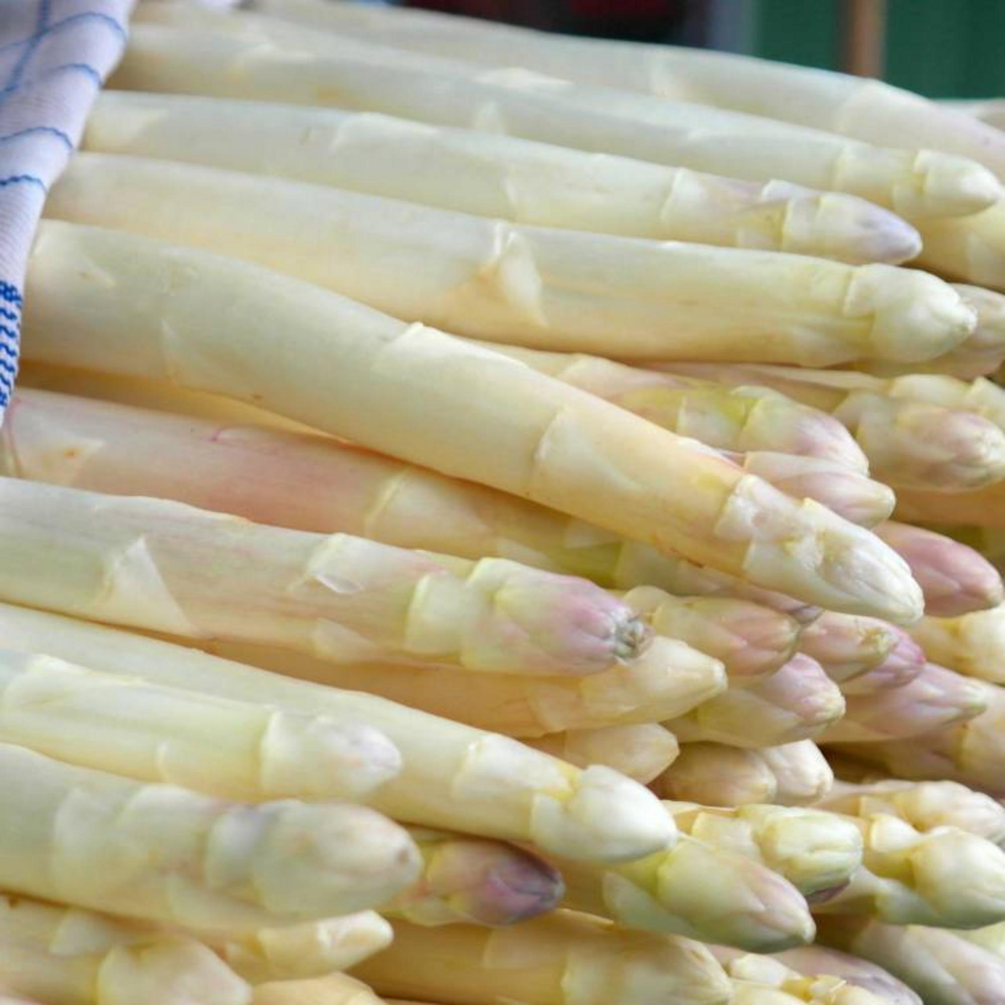 Spargel