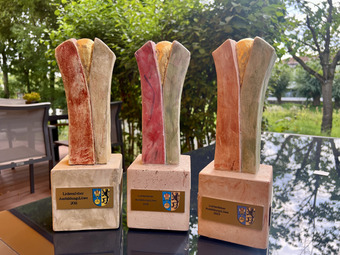 Pokal Ausbildungslöwe