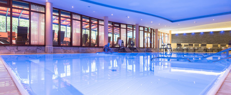 Pool im VITUS SPA 